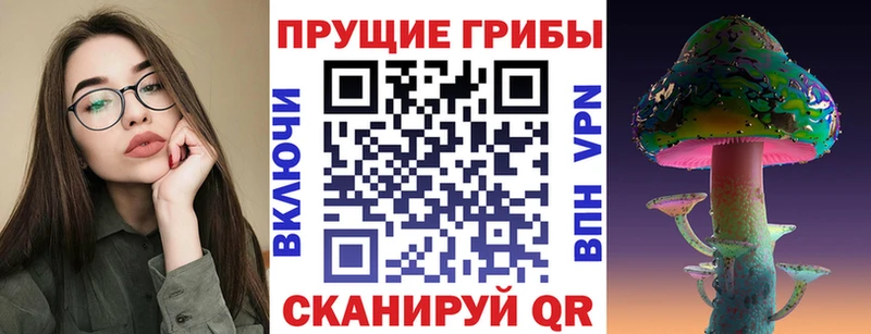 Псилоцибиновые грибы Cubensis Изобильный