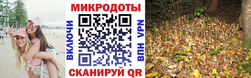 купить наркоту  Изобильный  Галлюциногенные грибы Psilocybine cubensis 